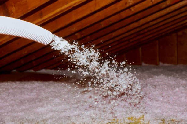 Best Insulation Installation Services in Reno, TX