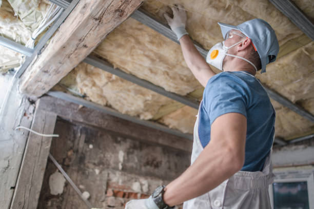 Best Specialty Insulation in Reno, TX