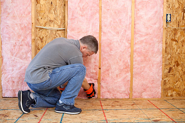 Best Commercial Insulation in Reno, TX